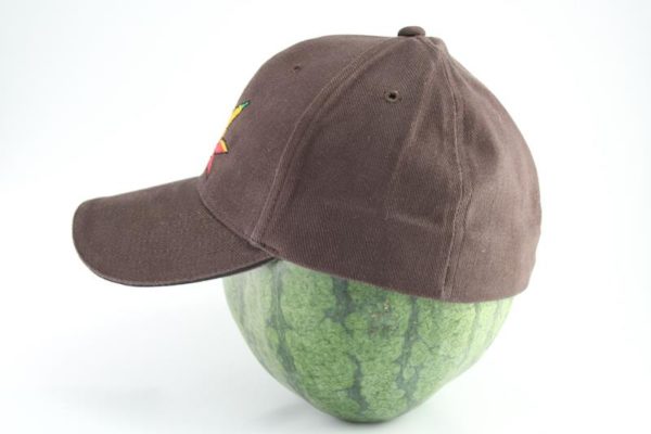 Cap Brown Color Rasta Cannabis Leaf หมวกแก๊ปราสต้า-เรกเก้ ลายใบกัญชา﻿ สุดเท่ห์ ส