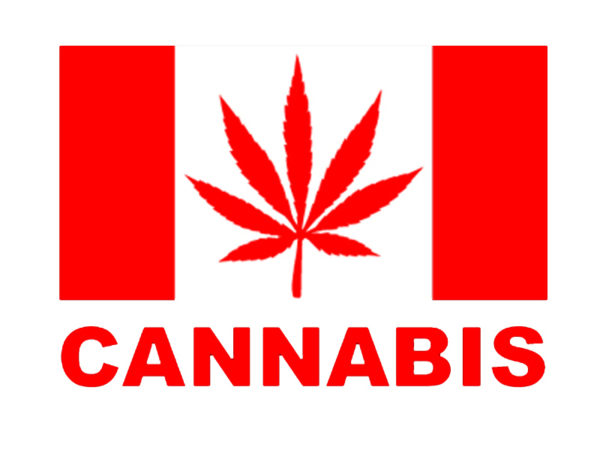 เสื้อยืดสีขาวลายธงชาติ Canada พิมพ์คำว่า Cannabis